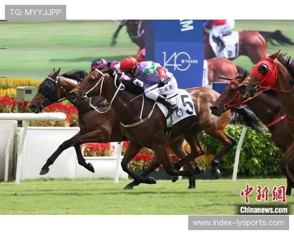 2024年“Princess’s Cup Thailand”马术大赛在曼谷和芭提雅成功举办，吸引了来自东南亚七个国家的骑手参赛。